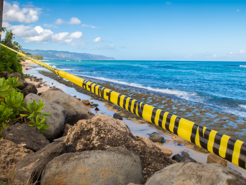 ハワイの海水の安全性を確認する方法