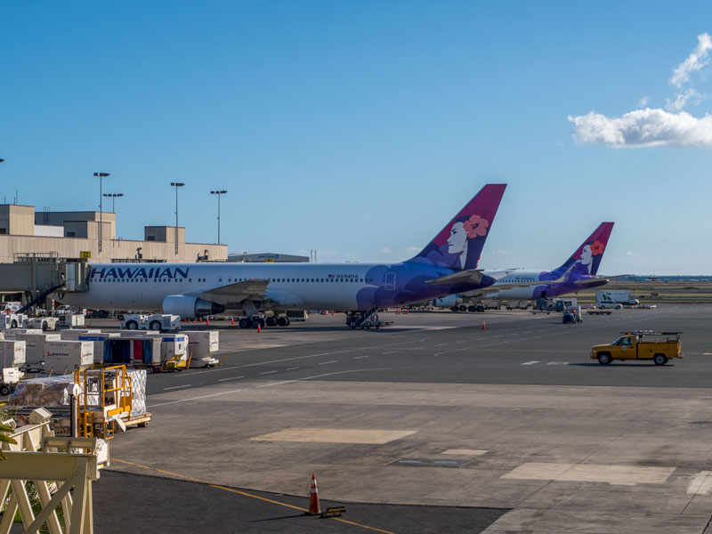 5歳児と1歳児連れのハワイ島旅行の航空券をどのように手配したか？
