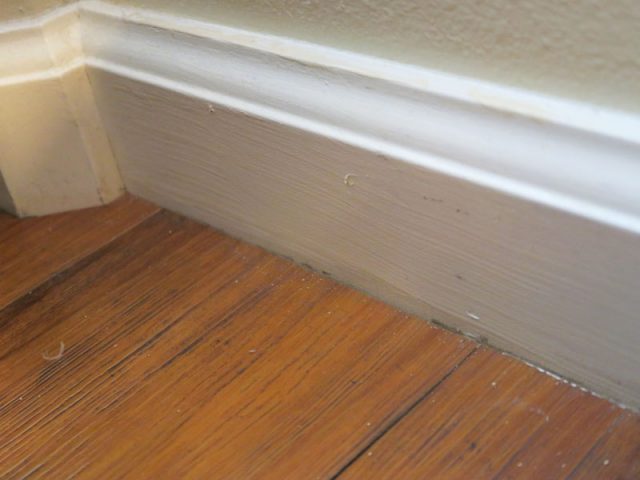 グランド・ワイキキアンの1ベッドルームプラス(1DP)、リビングの壁と床の境目、隙間があり接着剤跡のような汚れがあった