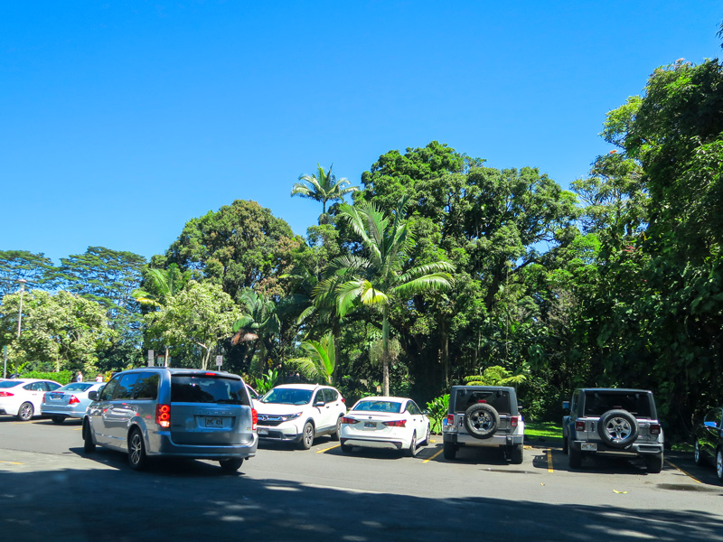 ハワイ島ワイルク・リバー州立公園、午前中の駐車場の混み具合の例