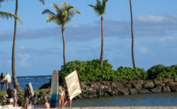 カハラビーチ沿いに浮いている足場まで泳いだ感想 はじめてのハワイ旅行