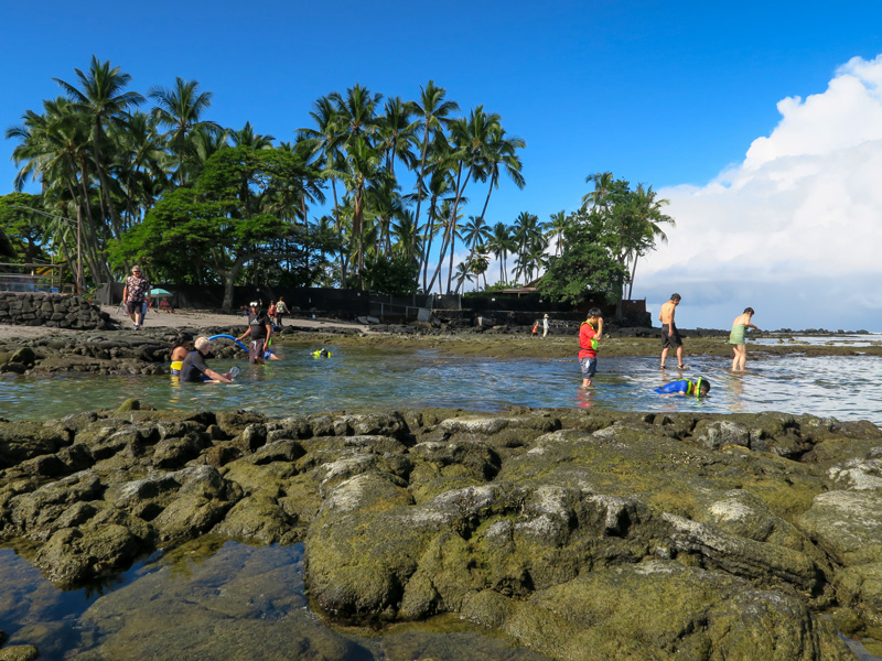 ハワイ島Kahalu’u Beach Parkでシュノーケリングをしている人たちの服装の例