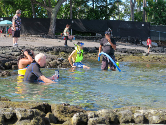ハワイ島カイルアコナのKahalu’u Beach Parkでシュノーケリングをしている人の様子1
