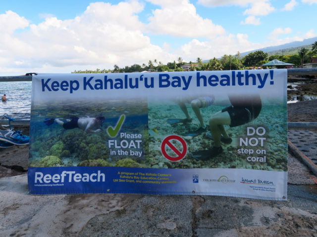 Kahalu’u Beach Park内の掲示されていた浮いて楽しむことを推奨するポスター