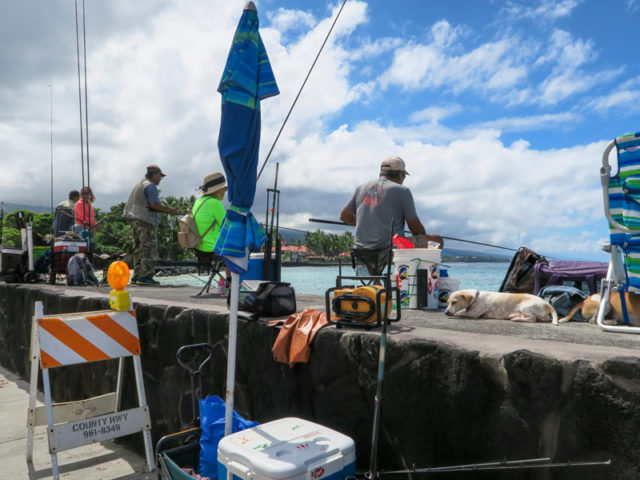 カイルアコナの海沿いの道でよく魚が釣れていた場所の例 はじめてのハワイ旅行