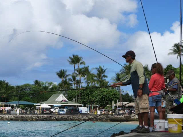 カイルアコナの防波堤で釣りをする人たち、リールなしの延べ竿を使っている